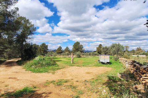 Landejendom i Ginestar, Tarragona, Ginestar - € 185.000 | Ref: CC824 - foto 8